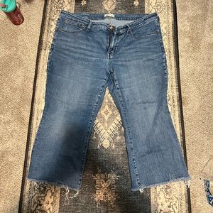 Madewell Jeans : 20W
